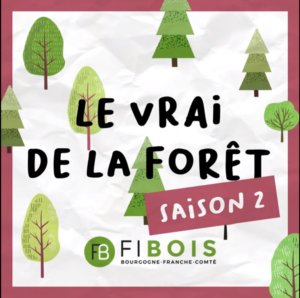 Découvrez la série de vidéos courtes "Le Vrai de la Forêt" !