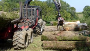 Règlement européen contre la déforestation et la dégradation des forêts (RDUE) - Fiche pédagogique