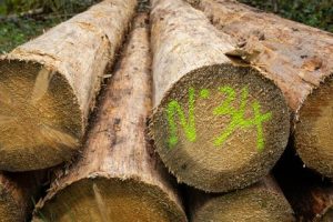 RDUE : actualités et liens utiles pour en savoir plus