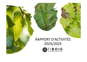 Rapport d'activités Fibois BFC 2024-2025