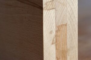 "bois de hêtre", un projet de valorisation de l’essence de hêtre par le design