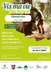 Vis ma vie de bûcheron
