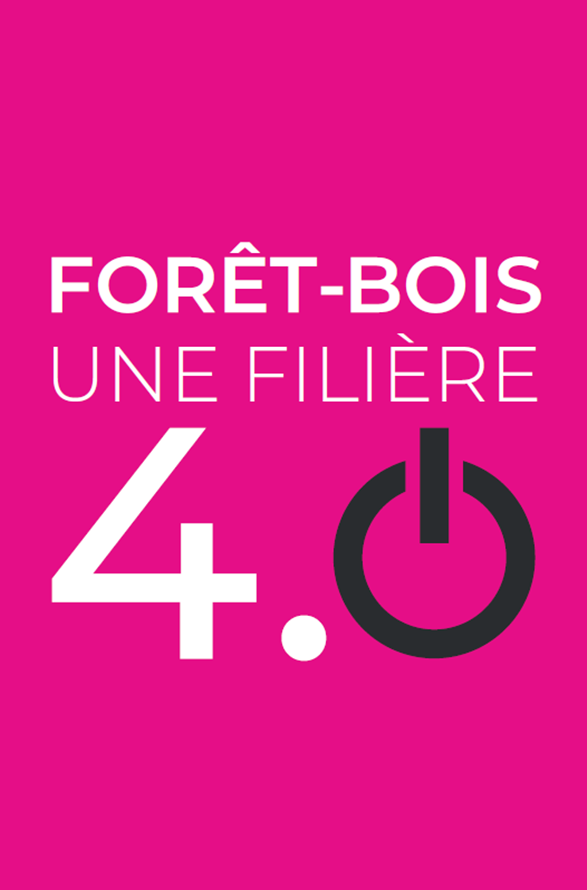 visuel congrès FIBOIS BFC