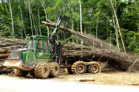 Guide ADEME Récolte durable bois pour la production de plaquettes forestières