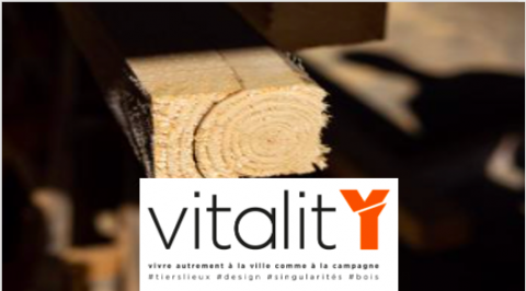 logo Vitalit'Y