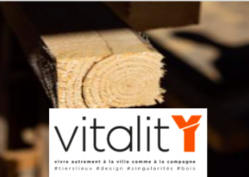logo Vitalit'Y