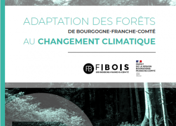 Adaptation des forêts de Bourgogne-Franche-Comté au changement climatique