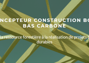 Formation complète « Concepteur Construction Bois Bas Carbone »