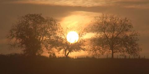 arbre lever soleil