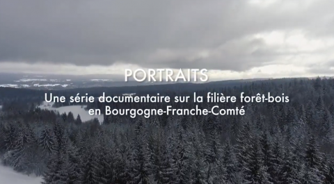 teaser documentaire FIBOIS BFC juillet 2019