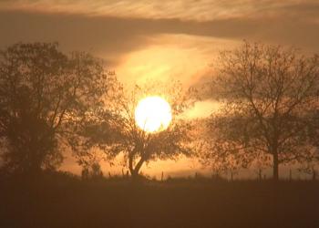 arbre lever soleil