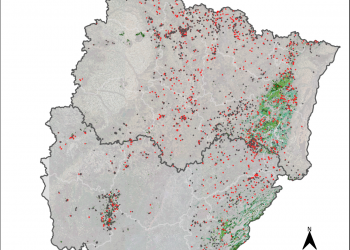 carte dégâts de scolytes